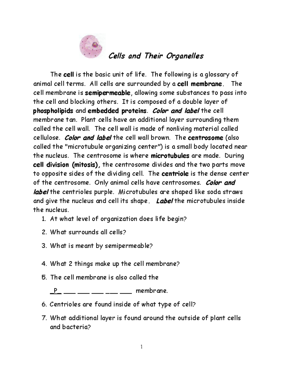 Cells-and-organelles - Cells and Their Organelles The cell is the basic ...