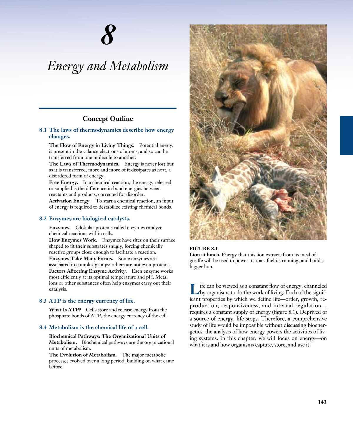 Chapter 8 Biology - 143 8 Energy and Metabolism Concept Outline 8 The ...