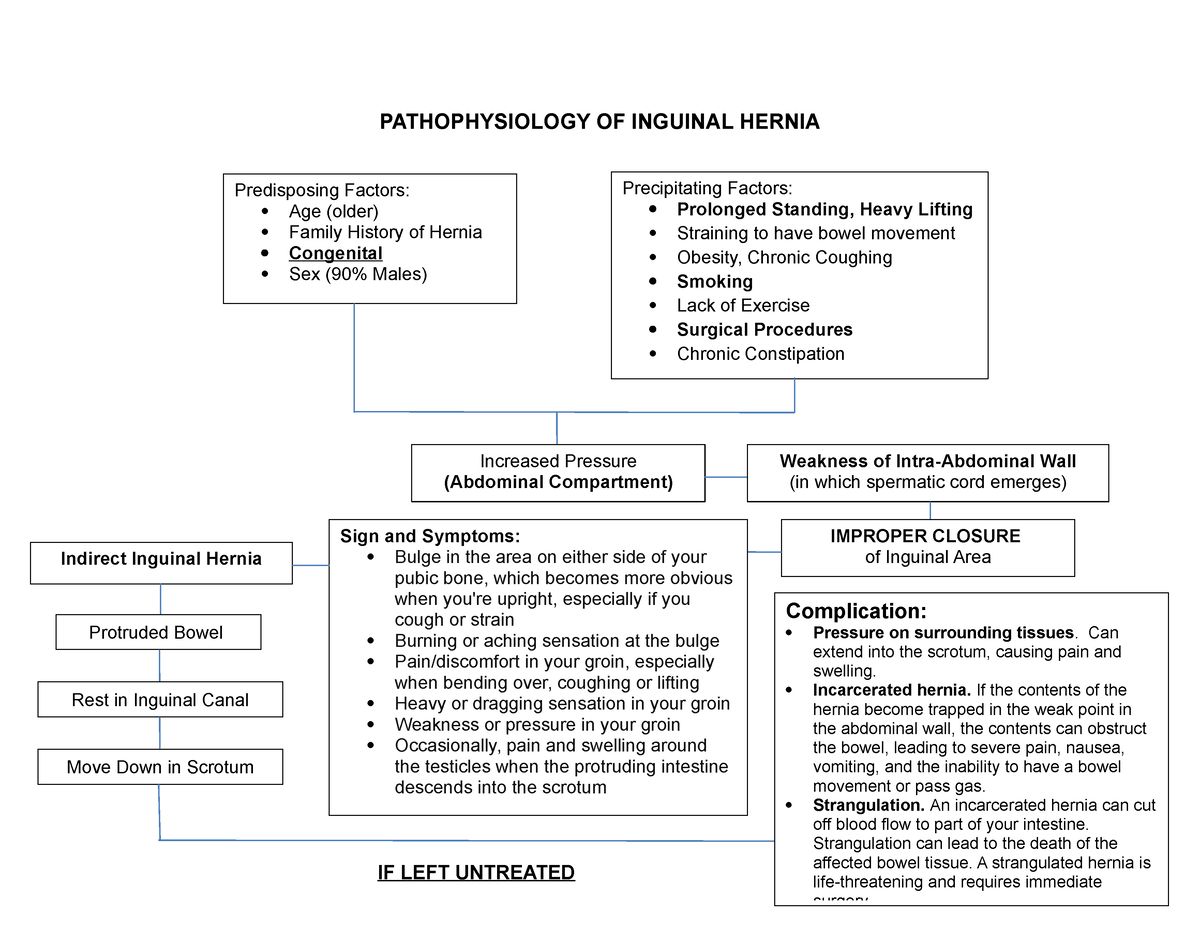 pathophysiology-of-inguinal-hernia-pathophysiology-of-inguinal-hernia