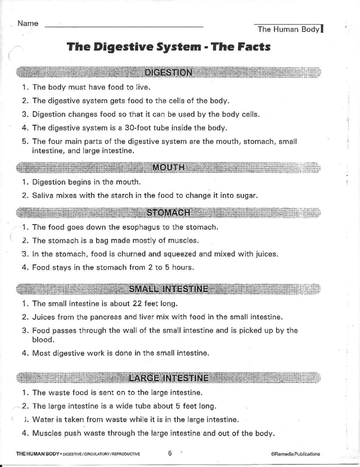 Digestive System page 5 Name The Human Body The Digestive System The