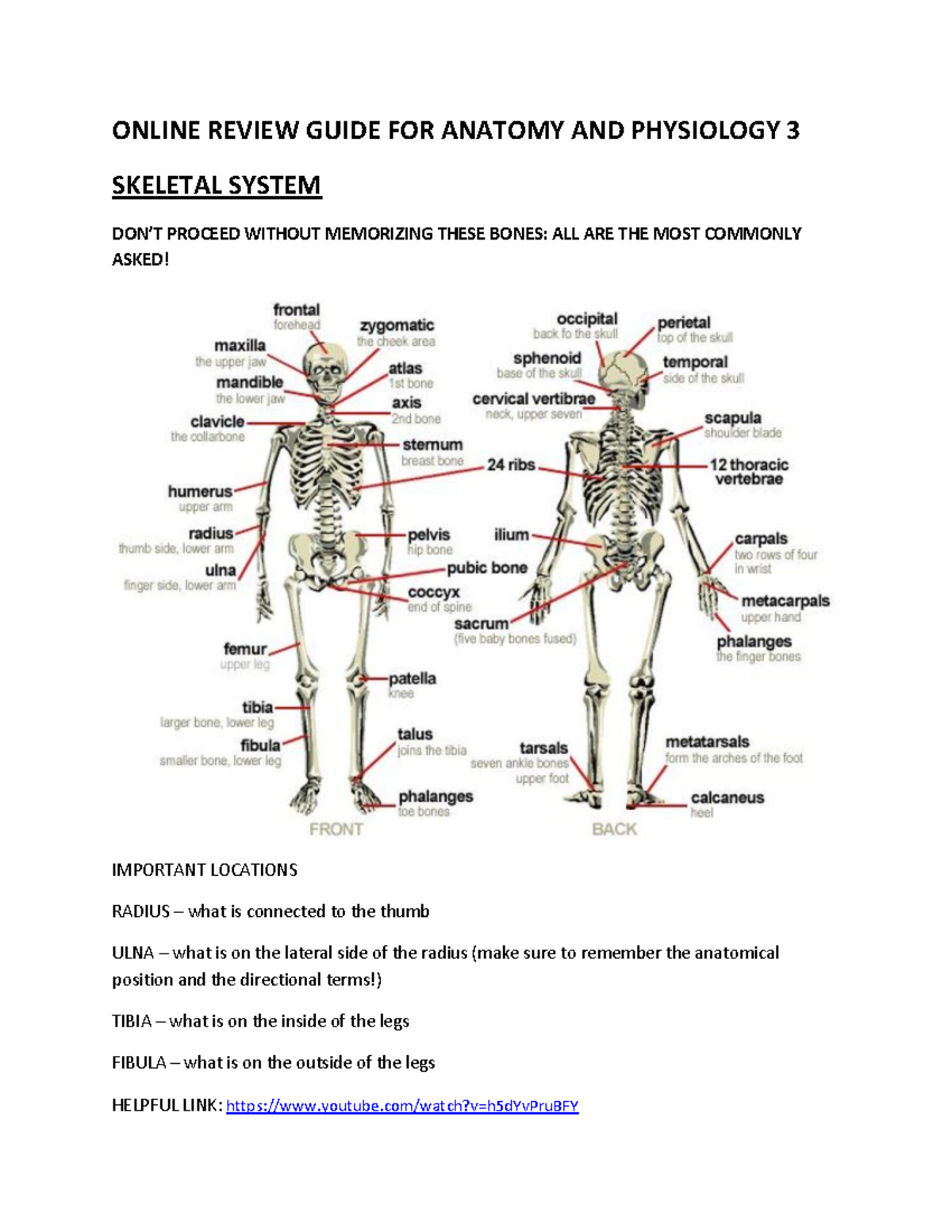 SKELETAL SYSTEM ANAPHY - ONLINE REVIEW GUIDE FOR ANATOMY AND PHYSIOLOGY ...