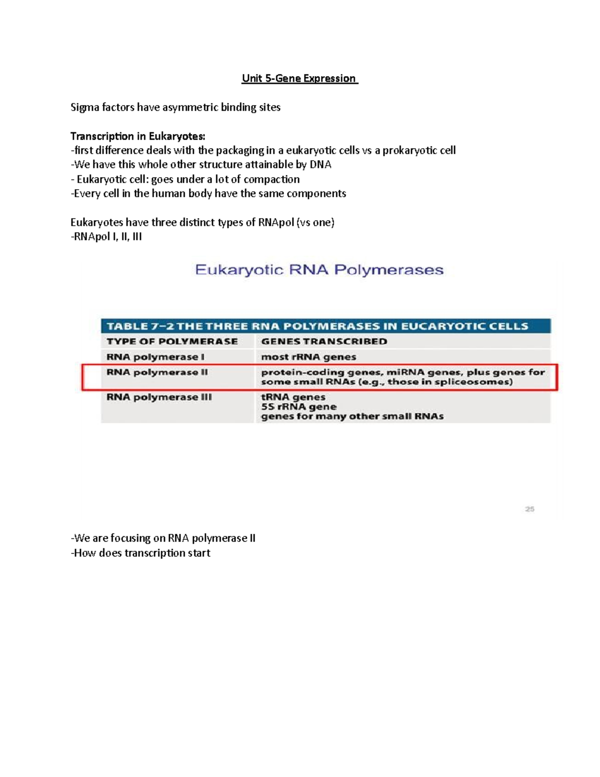 Unit 5Gene Expression Unit 5Gene Expression Sigma factors have asymmetric binding sites