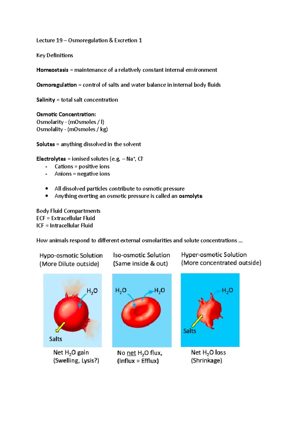 Lecture 19 - Osmoregulation & Excretion 1 - Lecture 19 – Osmoregulation ...