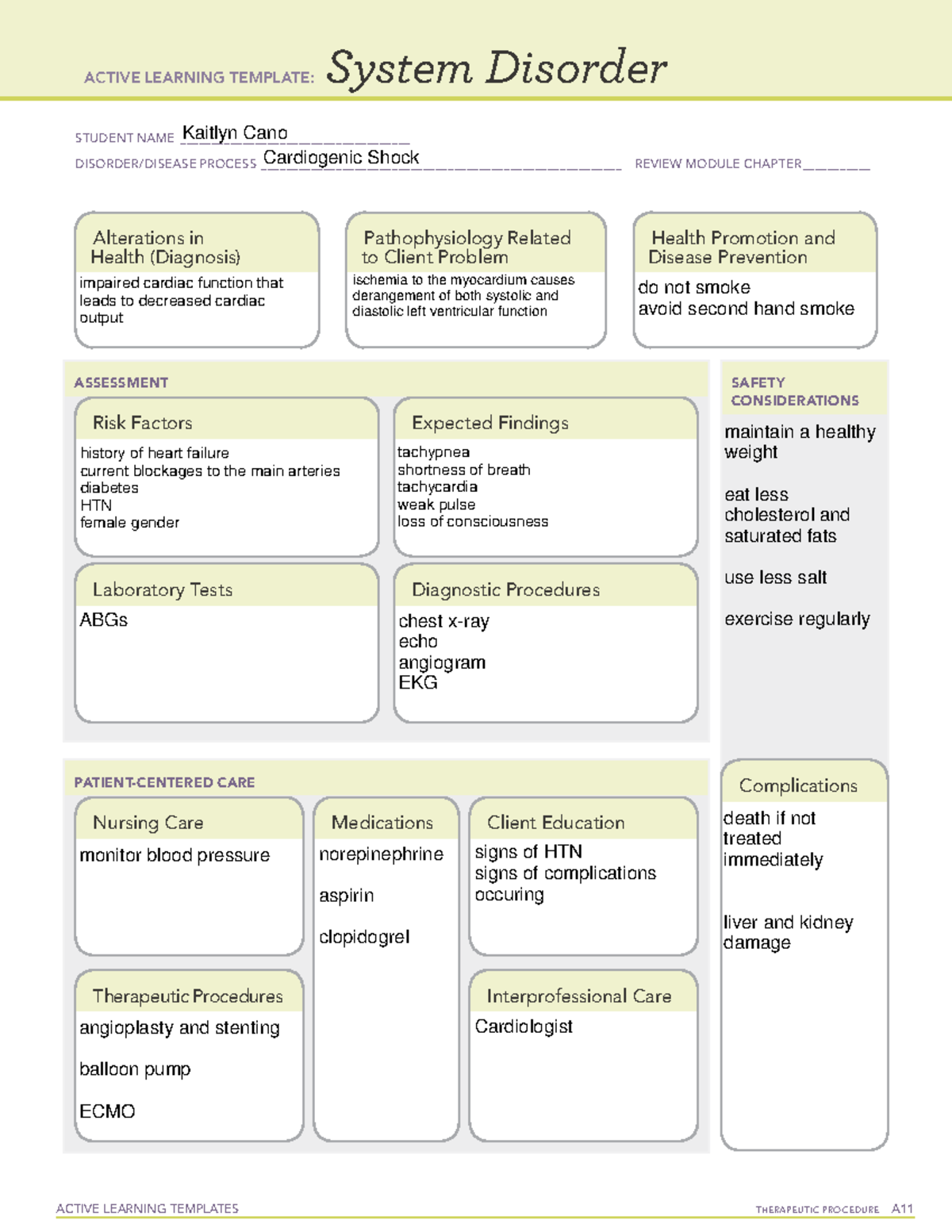 A Template 5 - ACTIVE LEARNING TEMPLATES THERAPEUTIC PROCEDURE A System ...