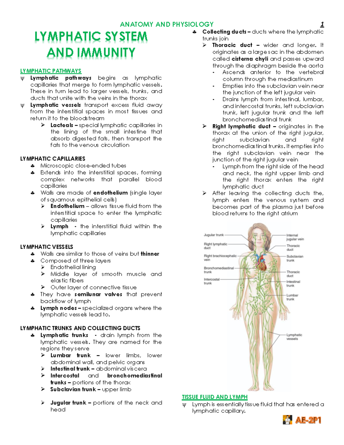 Anatomy and physiology_CH14 Lymphatic system - LYMPHATIC SYSTEM AND ...