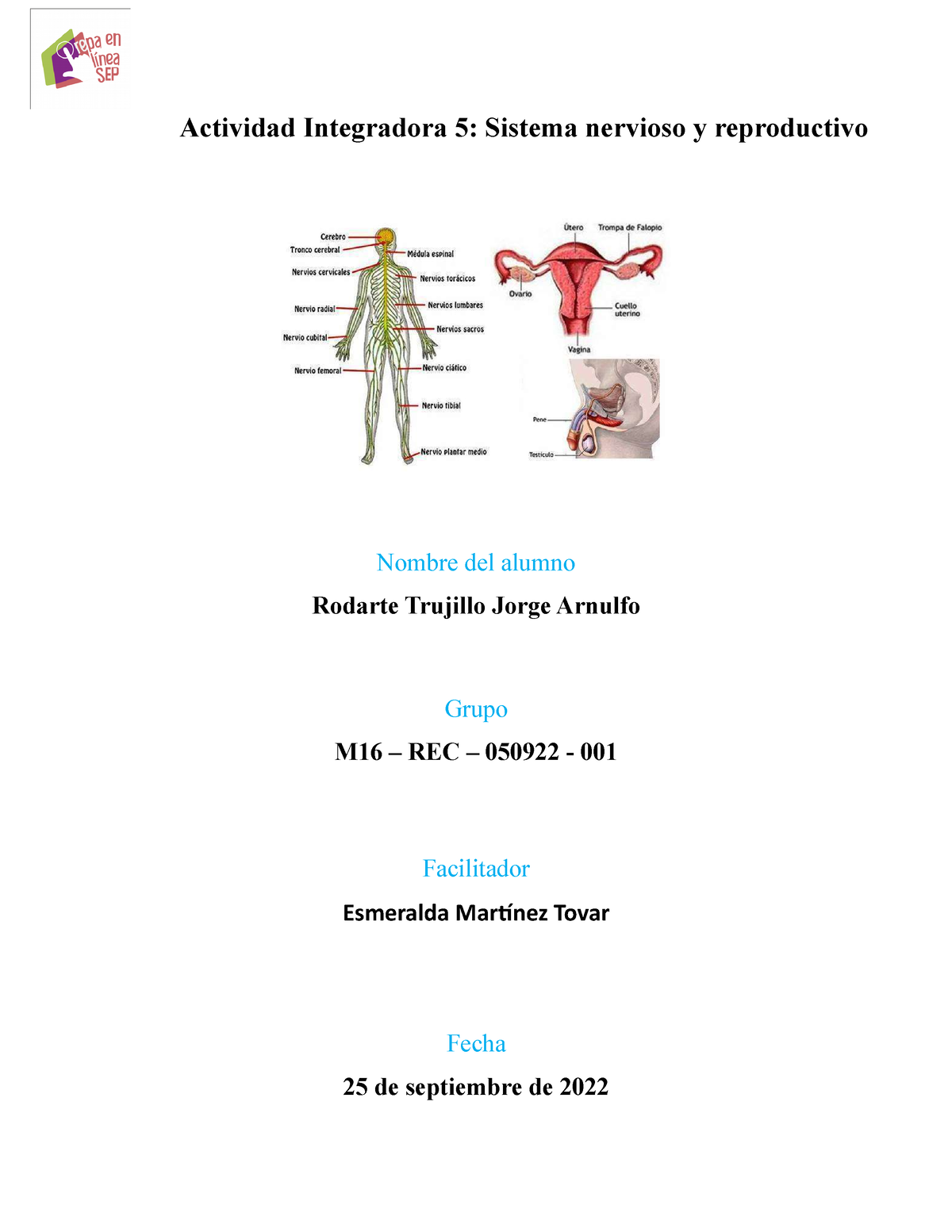 M S AI Tareas Actividad Integradora Sistema Nervioso Y Reproductivo Nombre Del Alumno