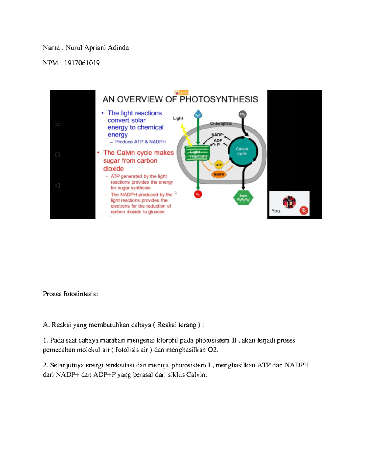 Botani Terapan: Optimalisasi Tumbuhan demi Kemajuan Desa Tayem