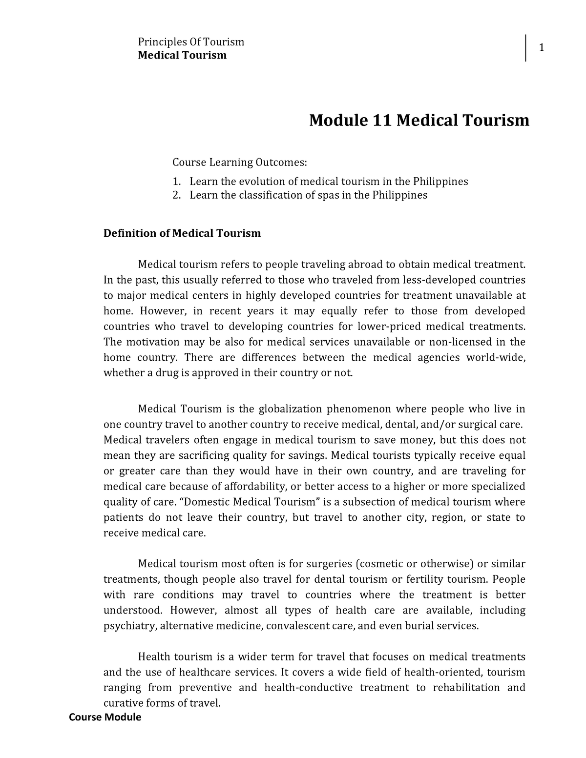 medical tourism essay