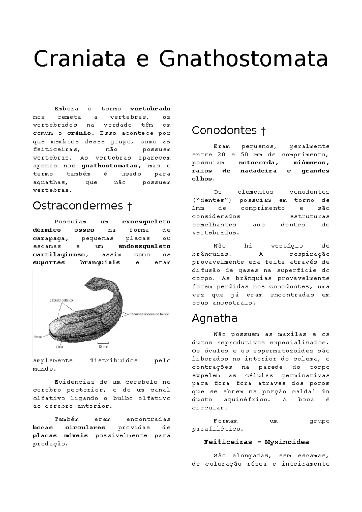 Craniata e Gnathostomata - Embora o termo vertebrado nos remeta a ...