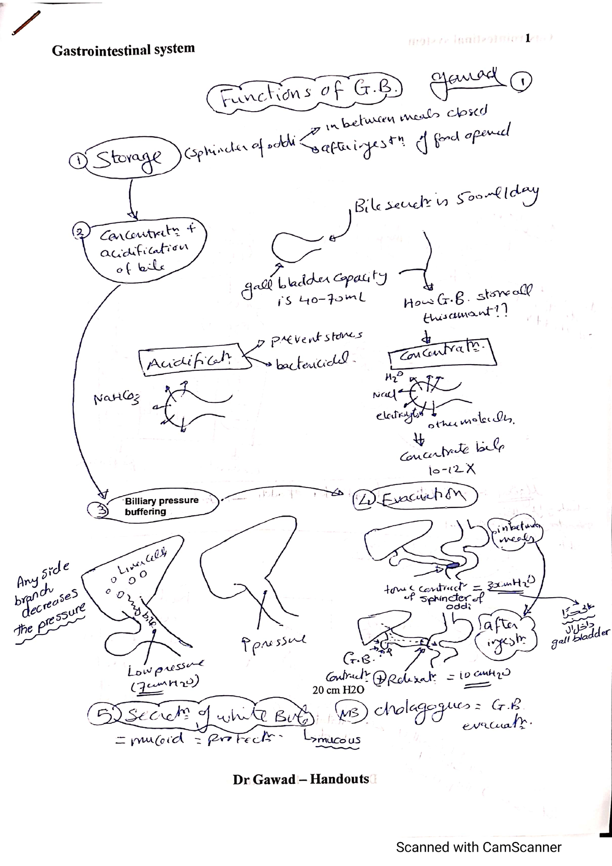 Handout lecture 6 physiology - physiology pathology - Studocu