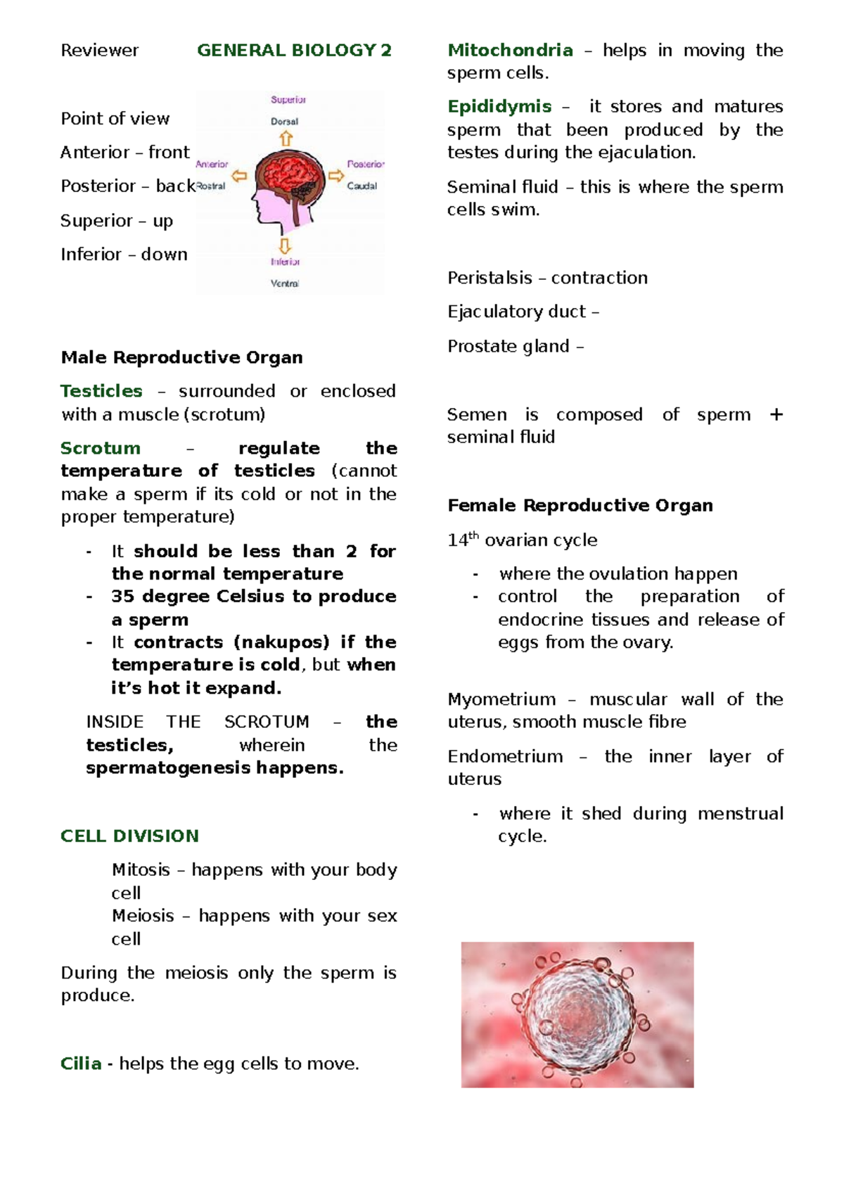 Reviewer General Biology 2 - Reviewer GENERAL BIOLOGY 2 Point of view ...
