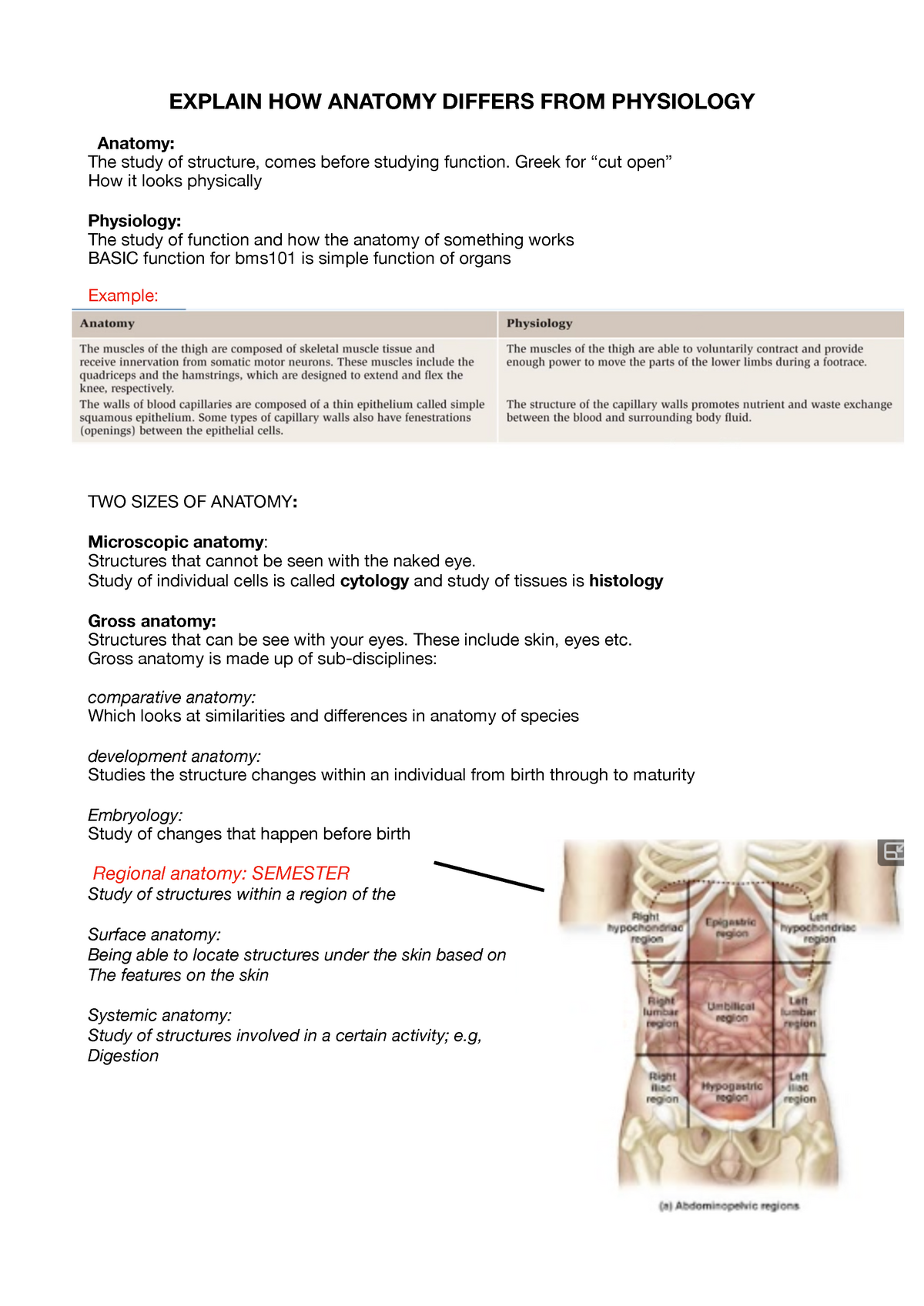 Lecture 1: Human Body Plan - Explain How Anatomy Differs From 