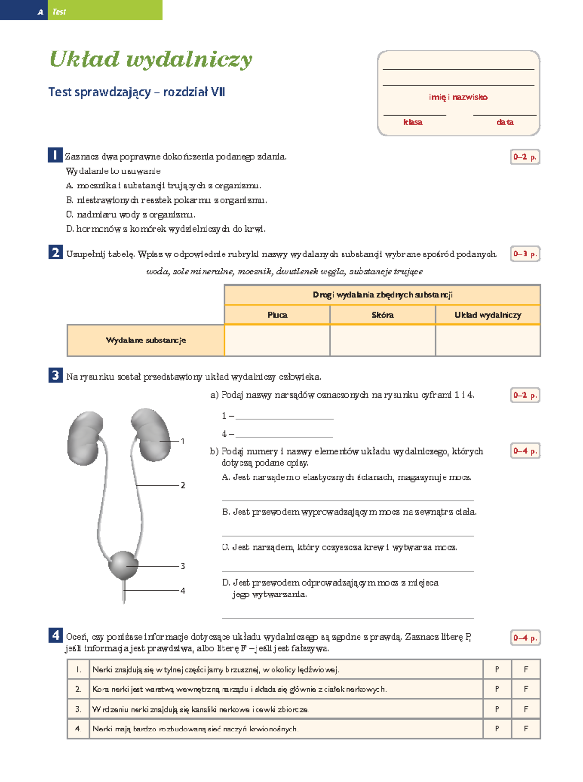 Puls Zycia 2 Sprawdzian Uklad Wydalniczy www.studocu.com