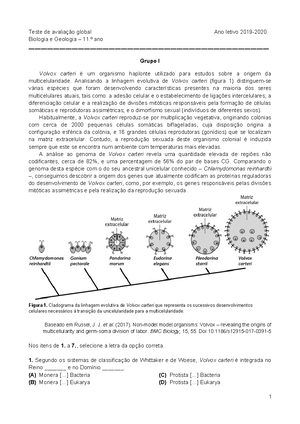 T1 BG 11 22 23 - Teste De Avaliação - 11.º Ano, Biologia E Geologia ...