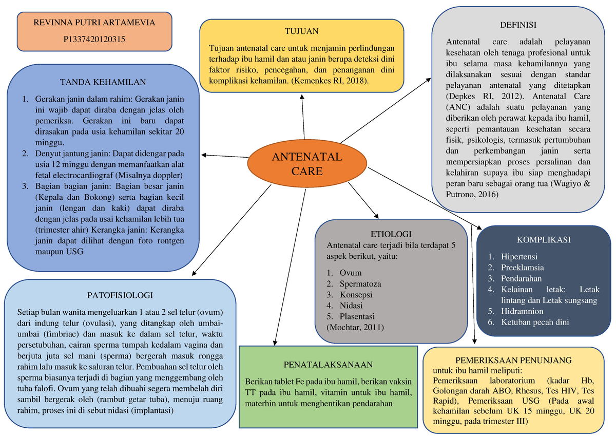 Woc Anc Maternitas Antenatal Care Revinna Putri Artamevia P Definisi