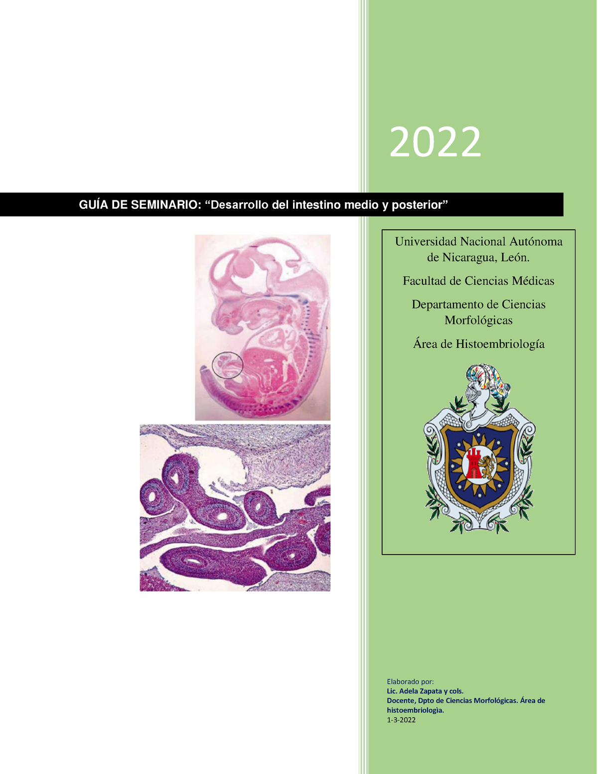 Embriología III Guía N° 3. Desarrollo de intestino medio y posterior ...