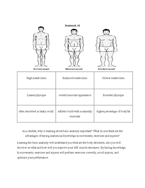 Module 1 Assessment - assignment - FITNESS CATEGORY CARDIO RESPIRATORY ...