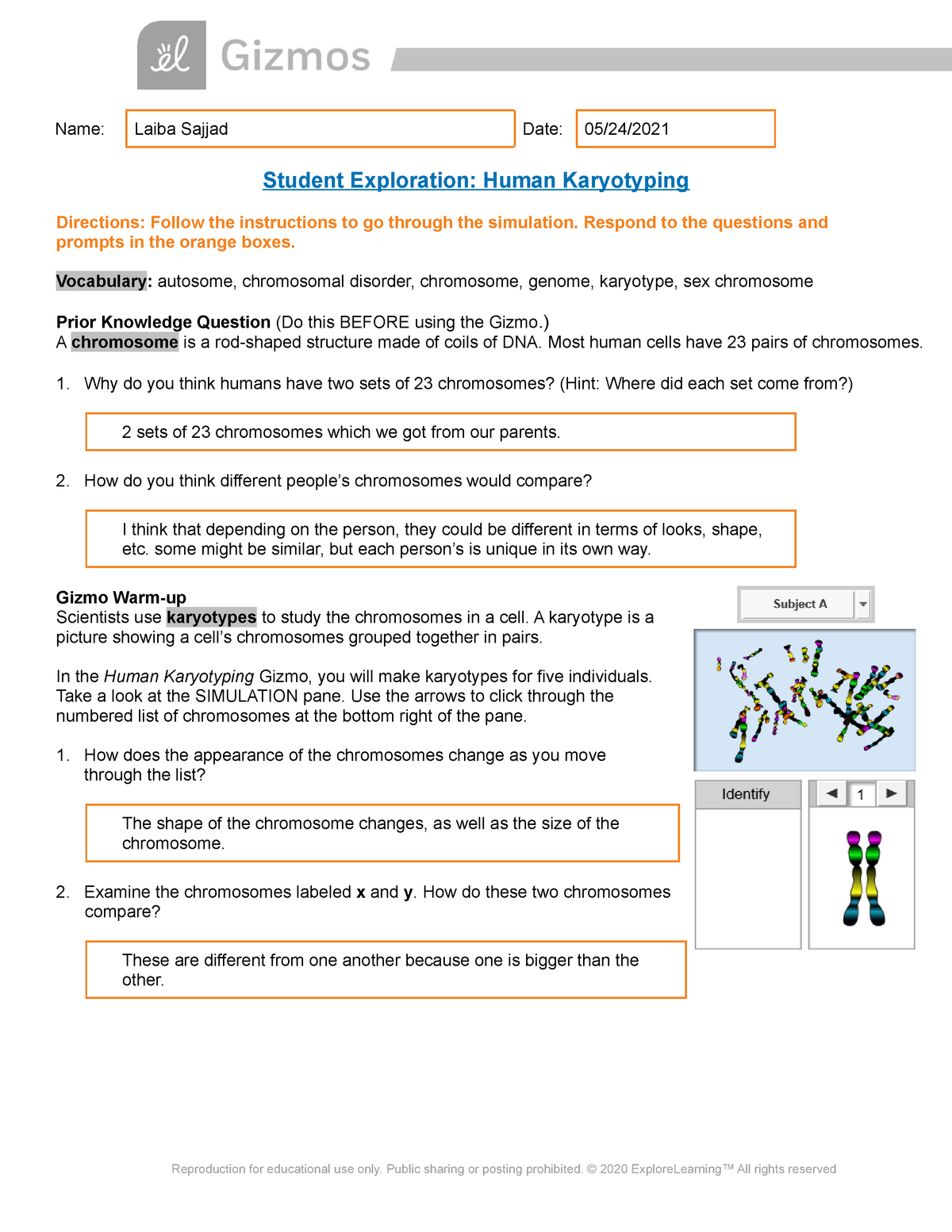 Laiba Sajjad - Human Karyotyping Gizmo - STBPS 21 - A+ With Regard To Biology Karyotype Worksheet Answers Key