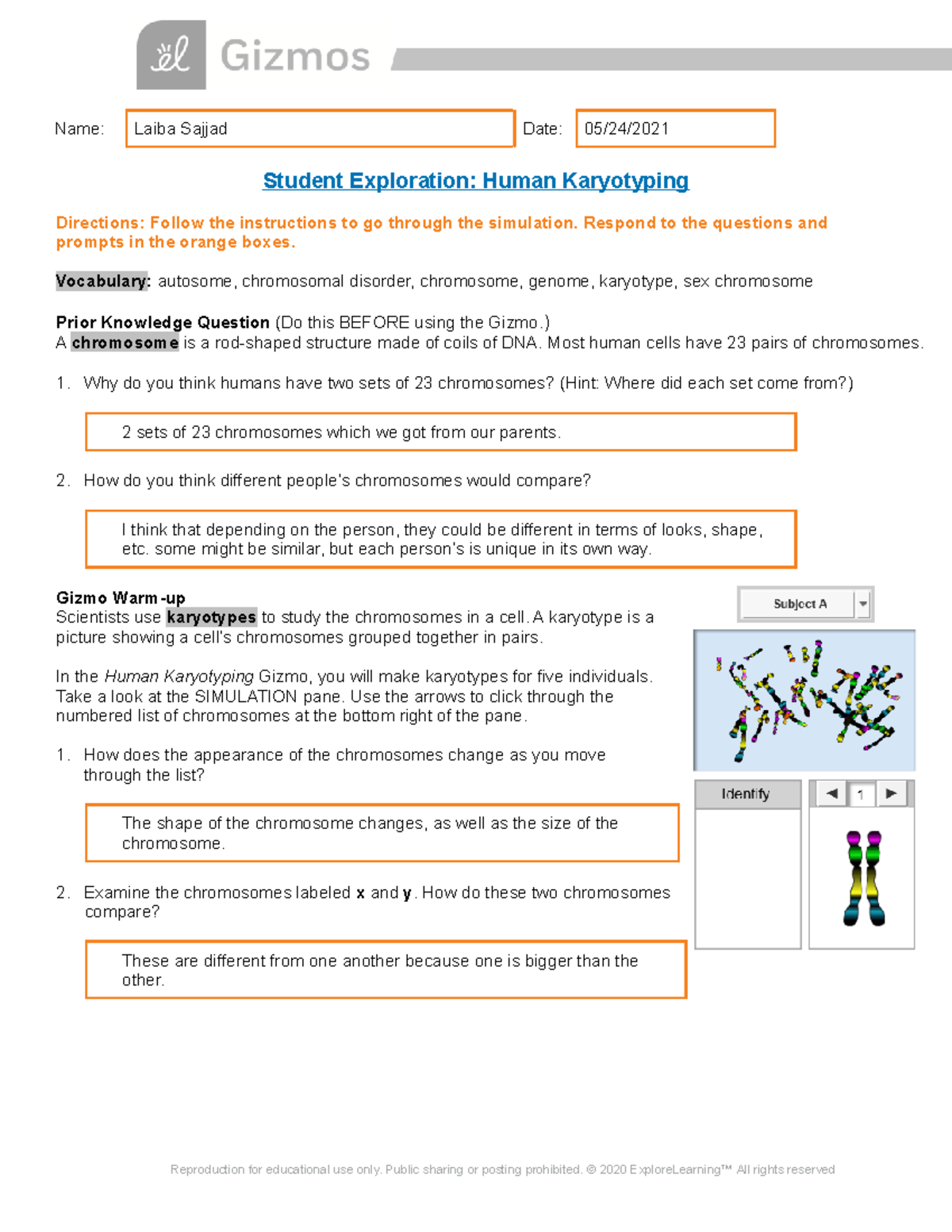 Laiba Sajjad - Human Karyotyping Gizmo - Name: Laiba Sajjad Date Pertaining To Biology Karyotype Worksheet Answers Key