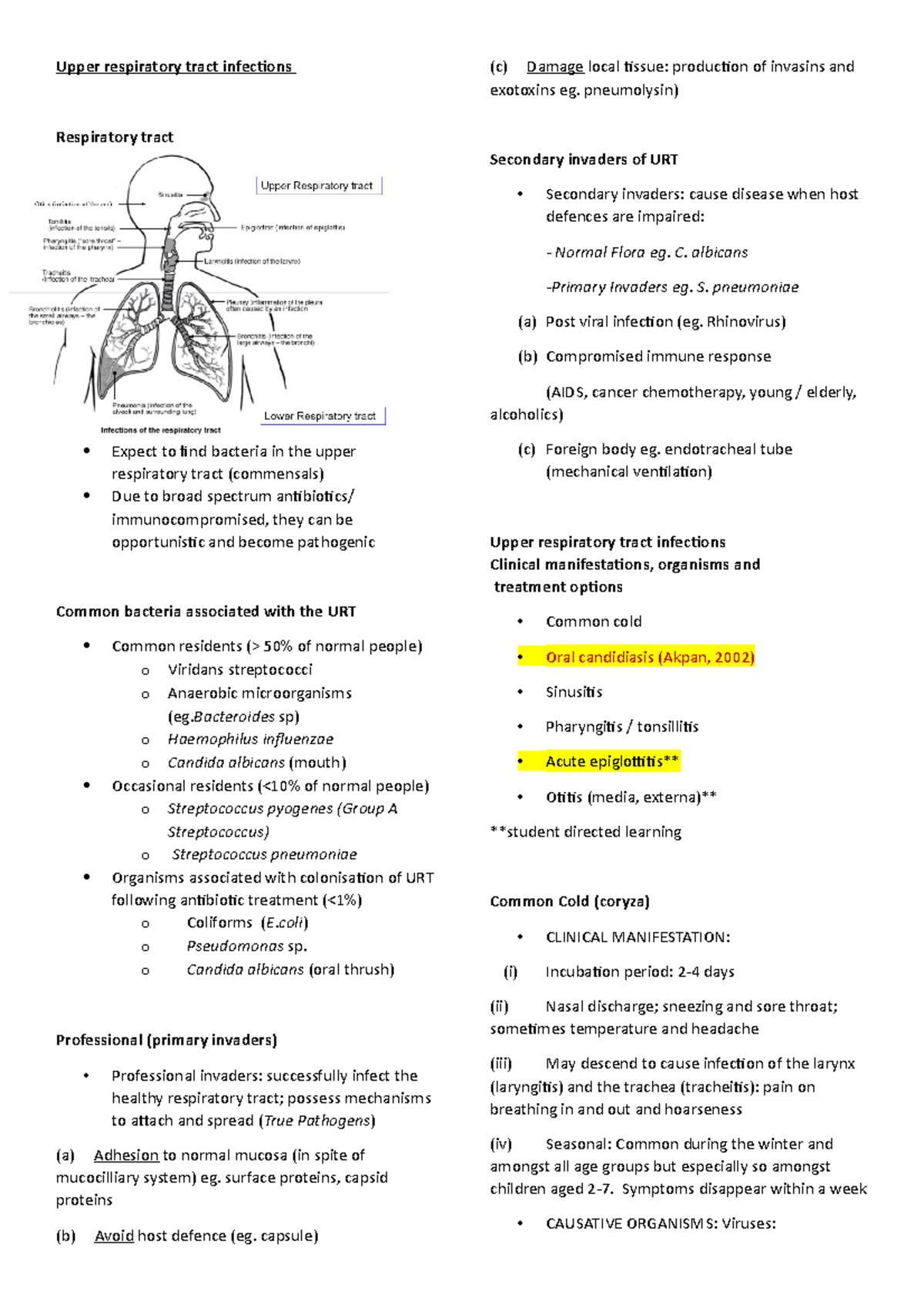 3-upper-respiratory-tract-infections-upper-respiratory-tract