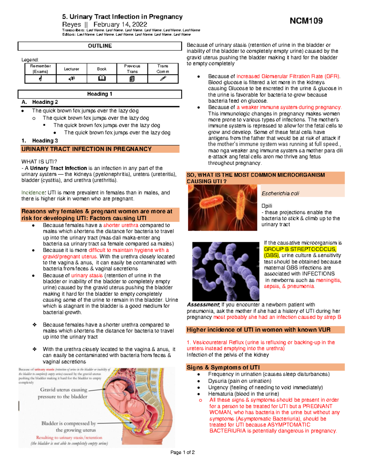 5. Urinary Tract Infection in Pregnancy 5. Urinary Tract Infection in