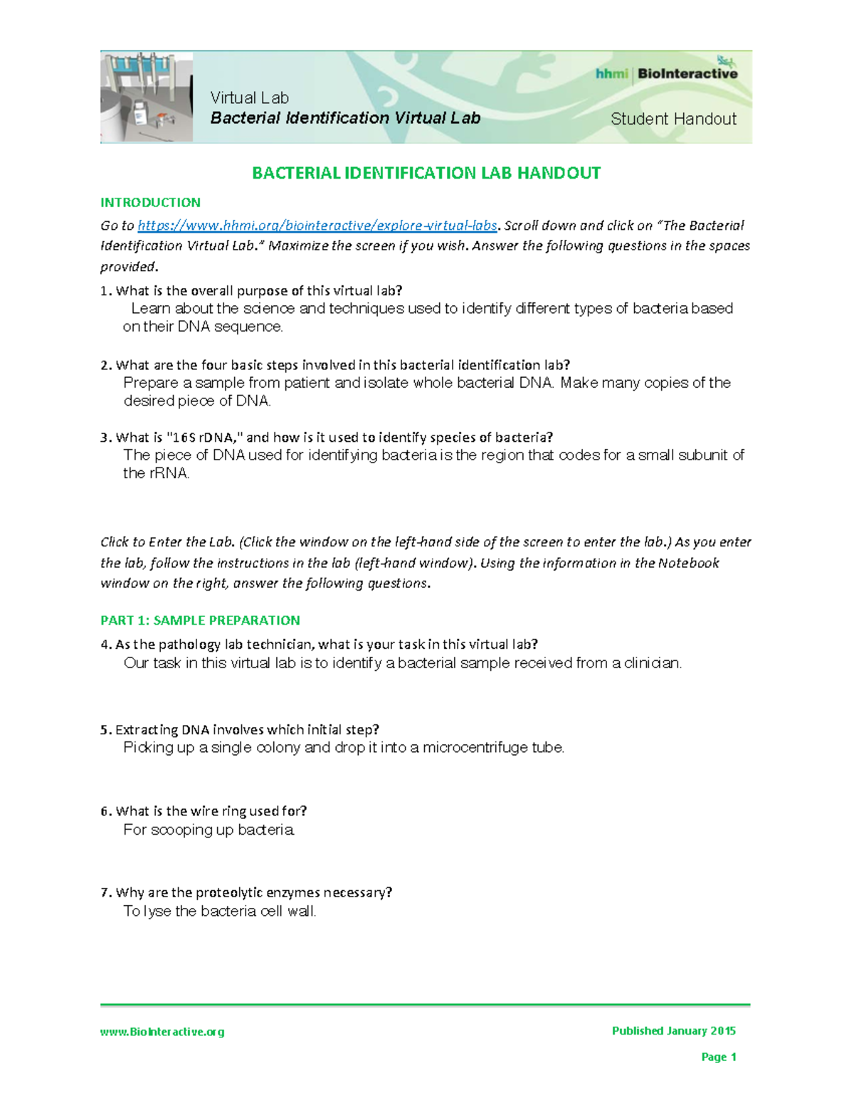 Bacterial Identification Lab Worksheet Student BioInteractive