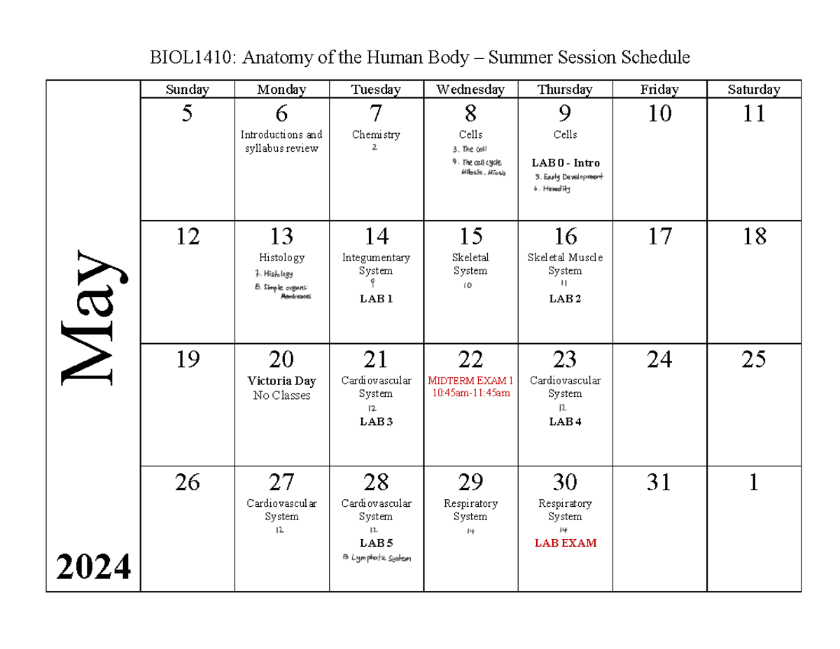 BIOL1410 May June 2024 Summer Scedule - BIOL1410: Anatomy of the Human ...