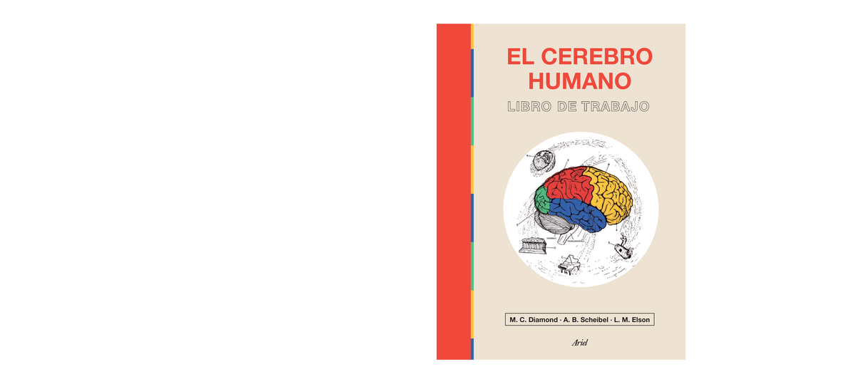 46918 El Cerebro Humano - LIBRO DE TRABAJO EL CEREBRO HUMANO M. C ...