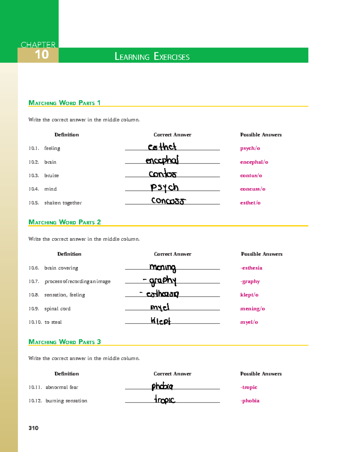 chapter-10-capitulos-de-ingles-chapter-10-learning-exercises