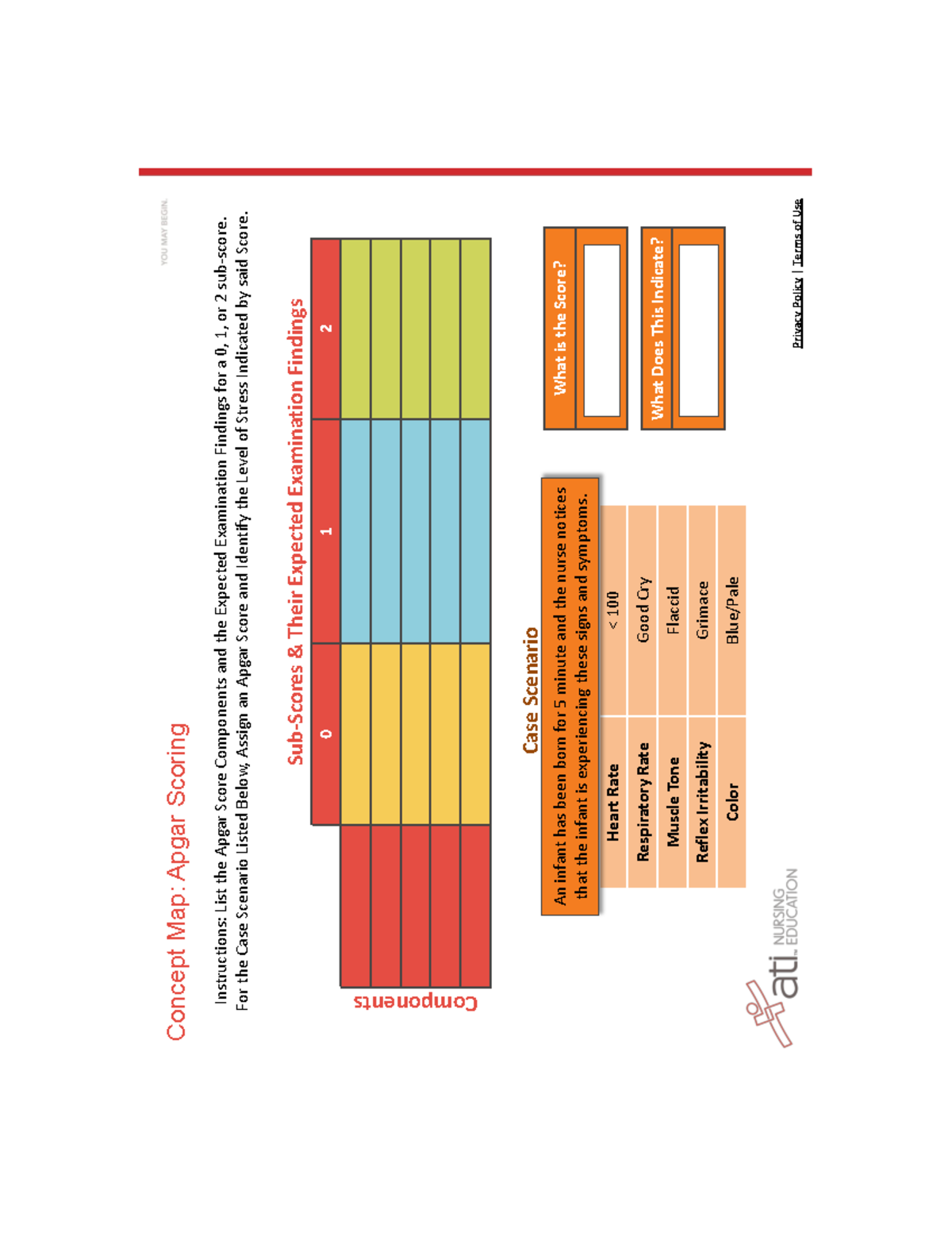 apgar-scoring-n-a-concept-map-apgar-scoring-privacy-policy-terms