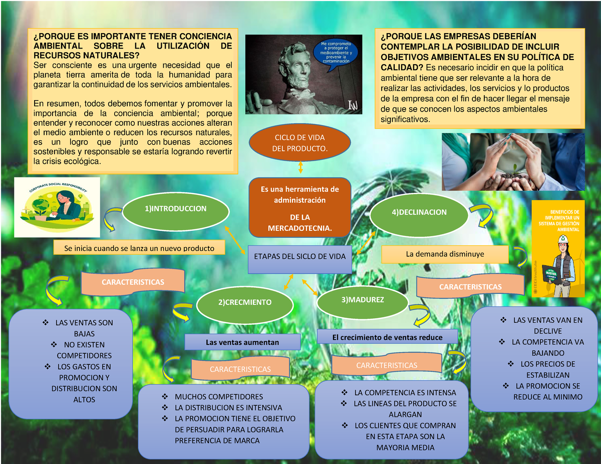 MAPA Mental - bien - CICLO DE VIDA DEL PRODUCTO. Es una herramienta de  administraciÛn DE LA - Studocu