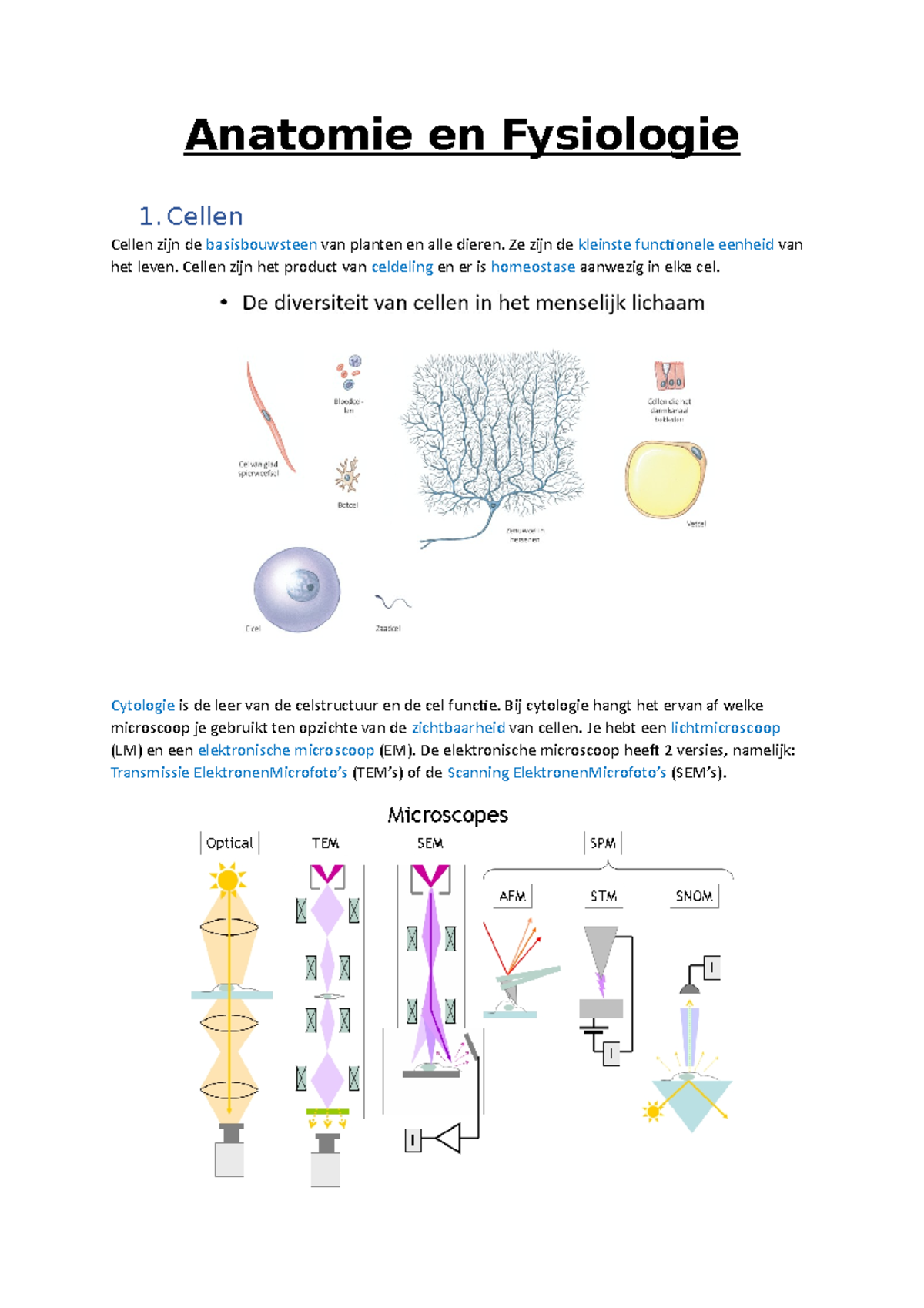 Semester 1 - HC 3 - Anatomie En Fysiologie 1 Cellen Zijn De ...
