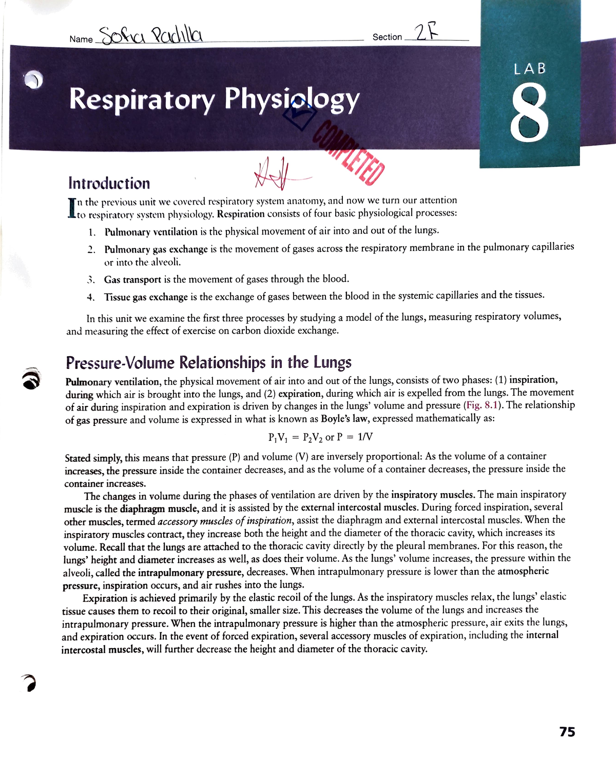Help Yourself Breathe. Tender Loving Care for Your Lungs. Department of  Physiotherapy. PD 1359 (Rev ) File: peyles - PDF Free Download