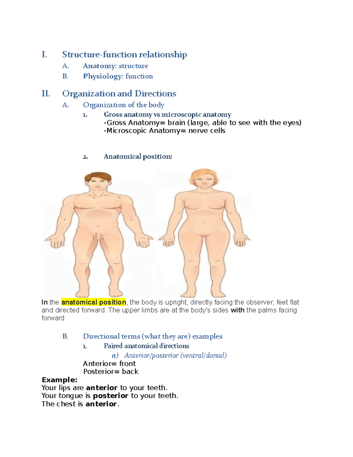 Exam 1 Study guide - I. Structure-function relationship A. Anatomy ...