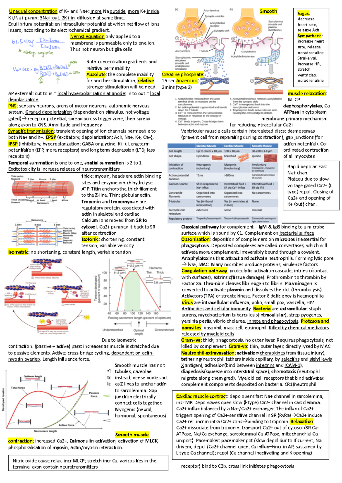 107 Exam Cheat Sheet - Unequal concentra-on of K+ and Na+: more Na ...