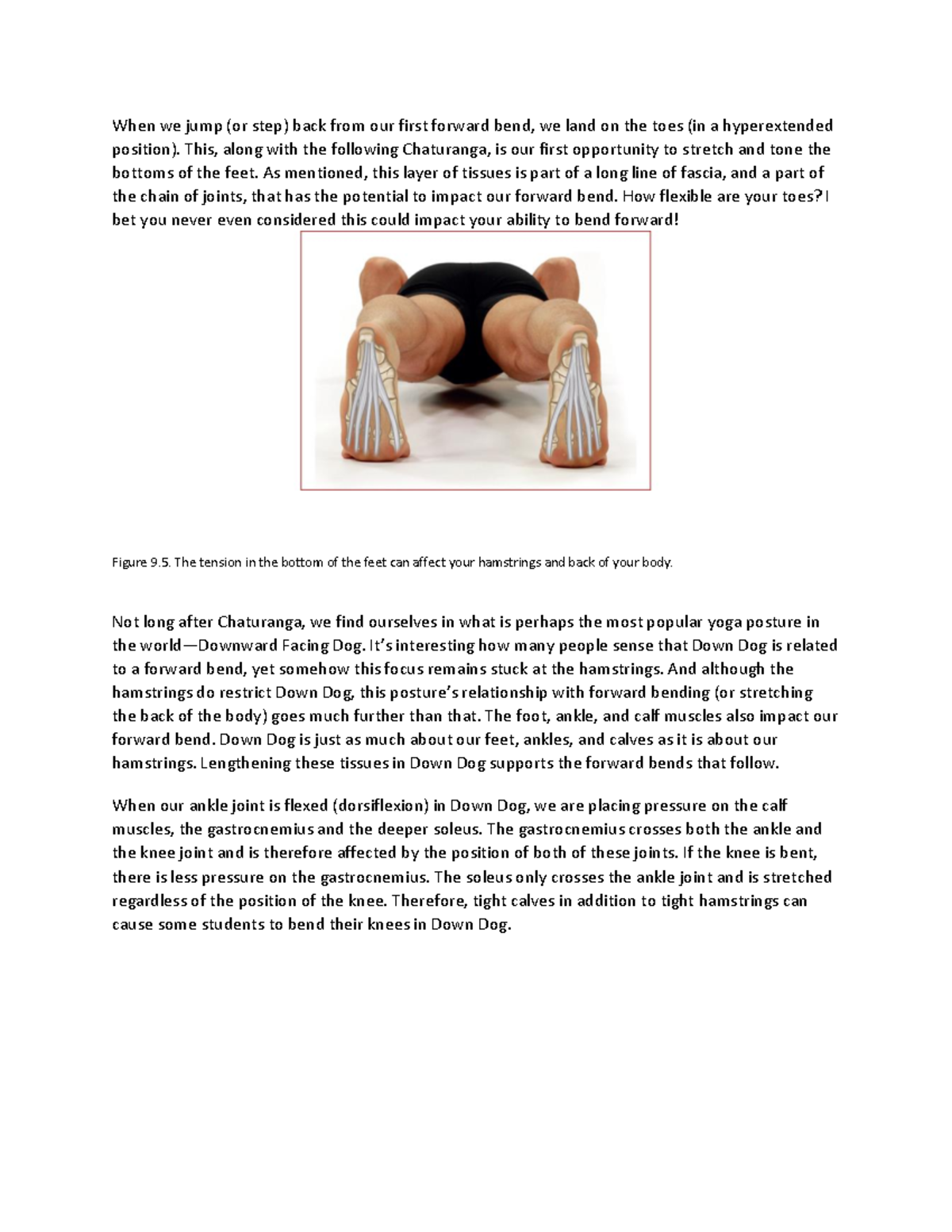 Functional Anatomy Of Yoga A Guide For Practitioners (16) - When We ...