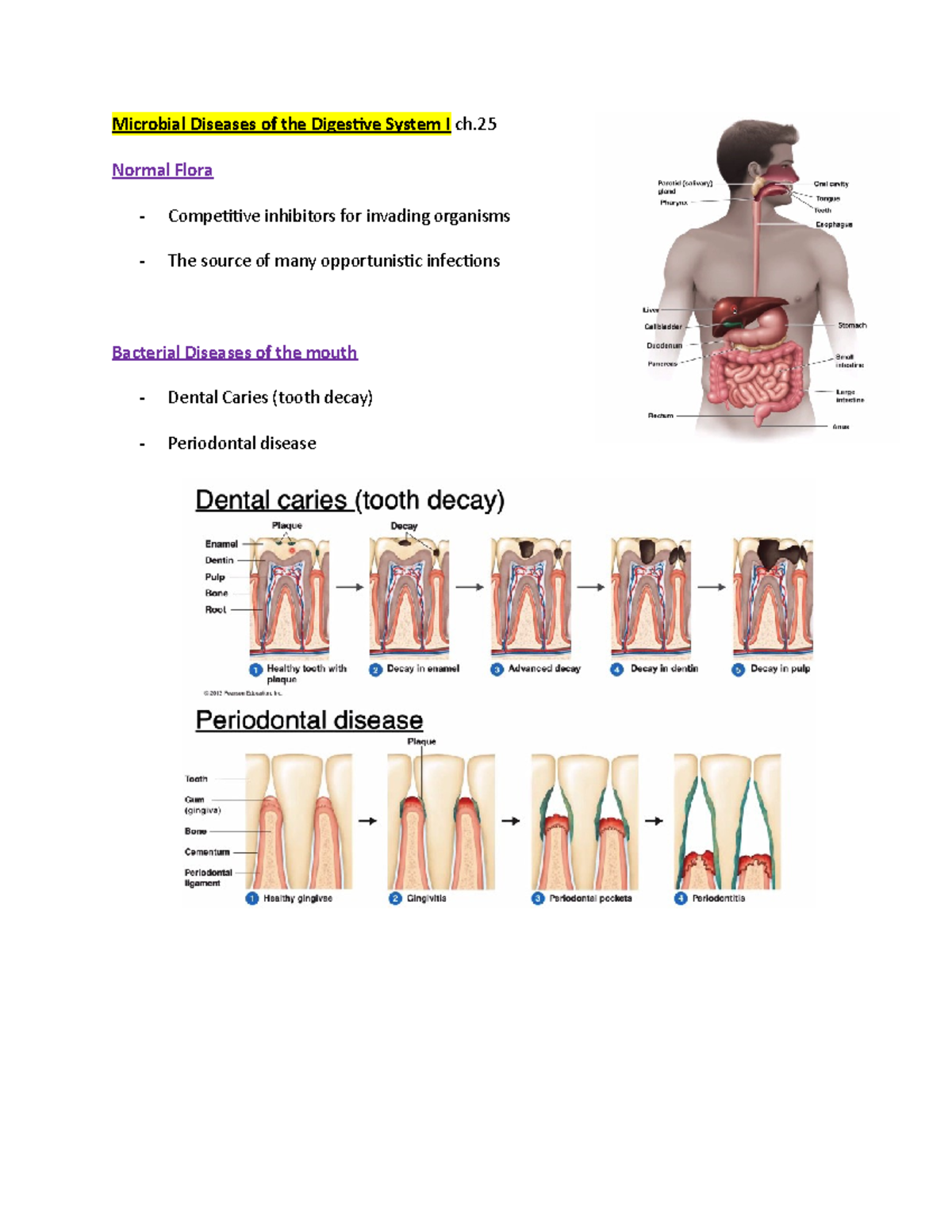 Intro to Microbiology Ch.25 Microbial Diseases of the Digestive