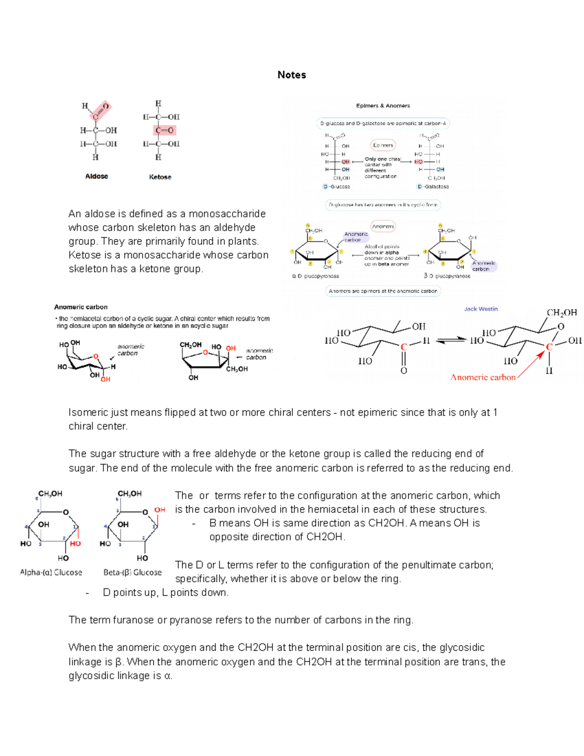 Biochem (CH373) Ch. 10 - Highly detailed notes from Dr. Vardar-Ulu's ...