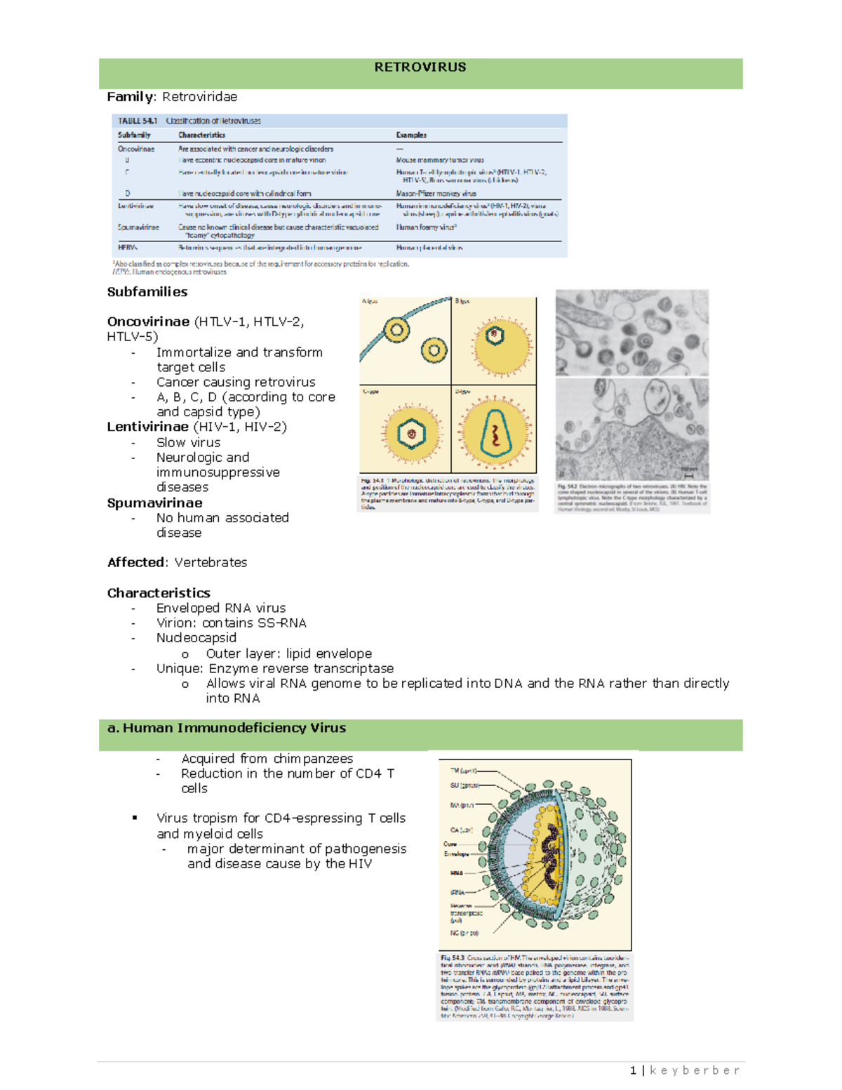 Retrovirus notes - RETROVIRUS Family : Retroviridae Subfamilies ...