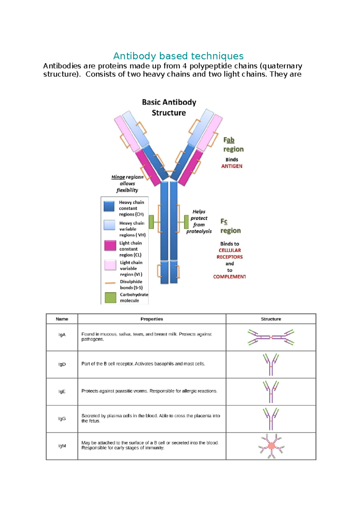 Week 9 Antibody based techniques - Antibody based techniques Antibodies ...