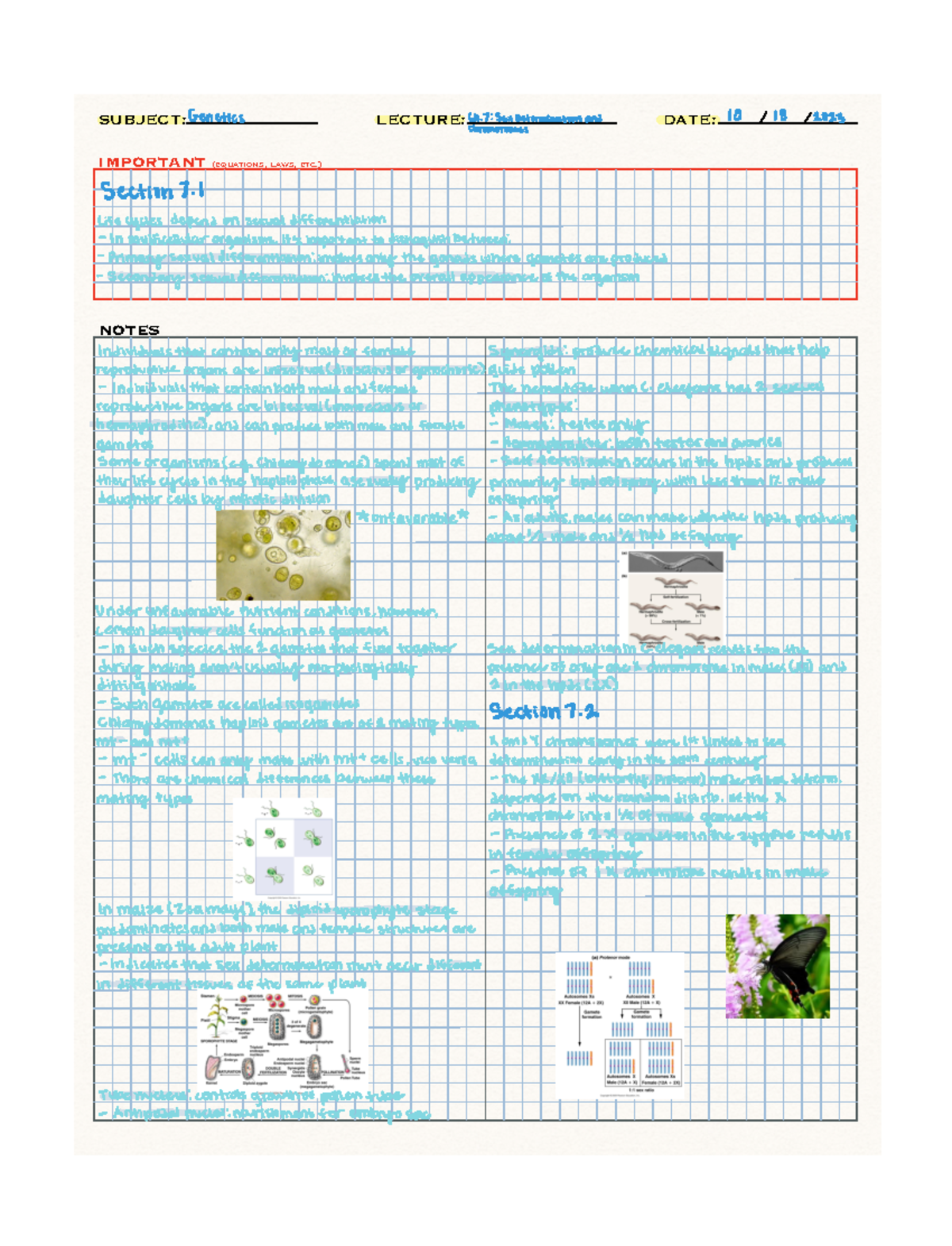 Sex Determination And Chromosomes Lecture Date Notes Subject Important Equations Laws 6541