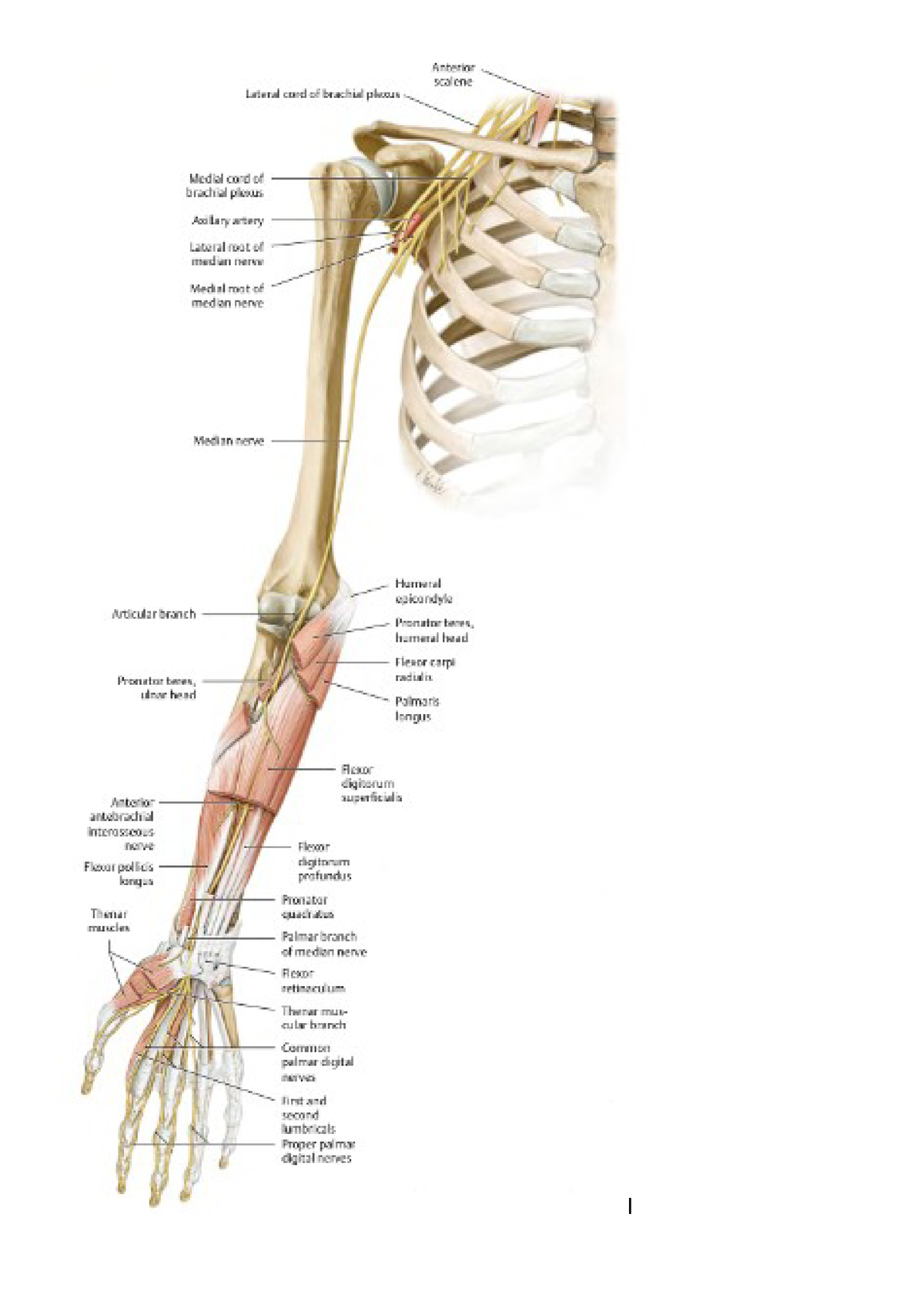 Doc7 - diagrams - CHI108 - Studocu