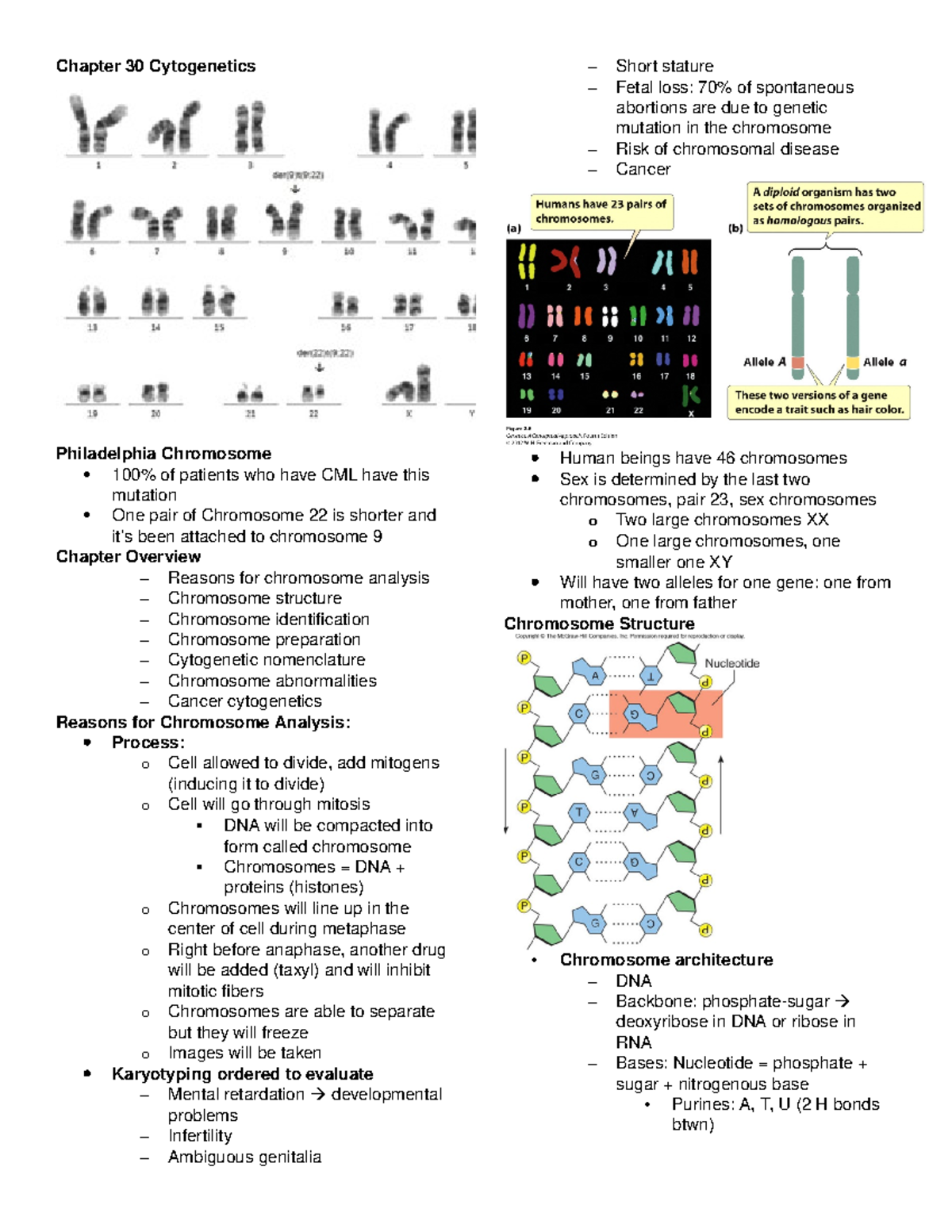 Chapter 30 Cytogenetics - Chapter 30 Cytogenetics – – – Philadelphia ...
