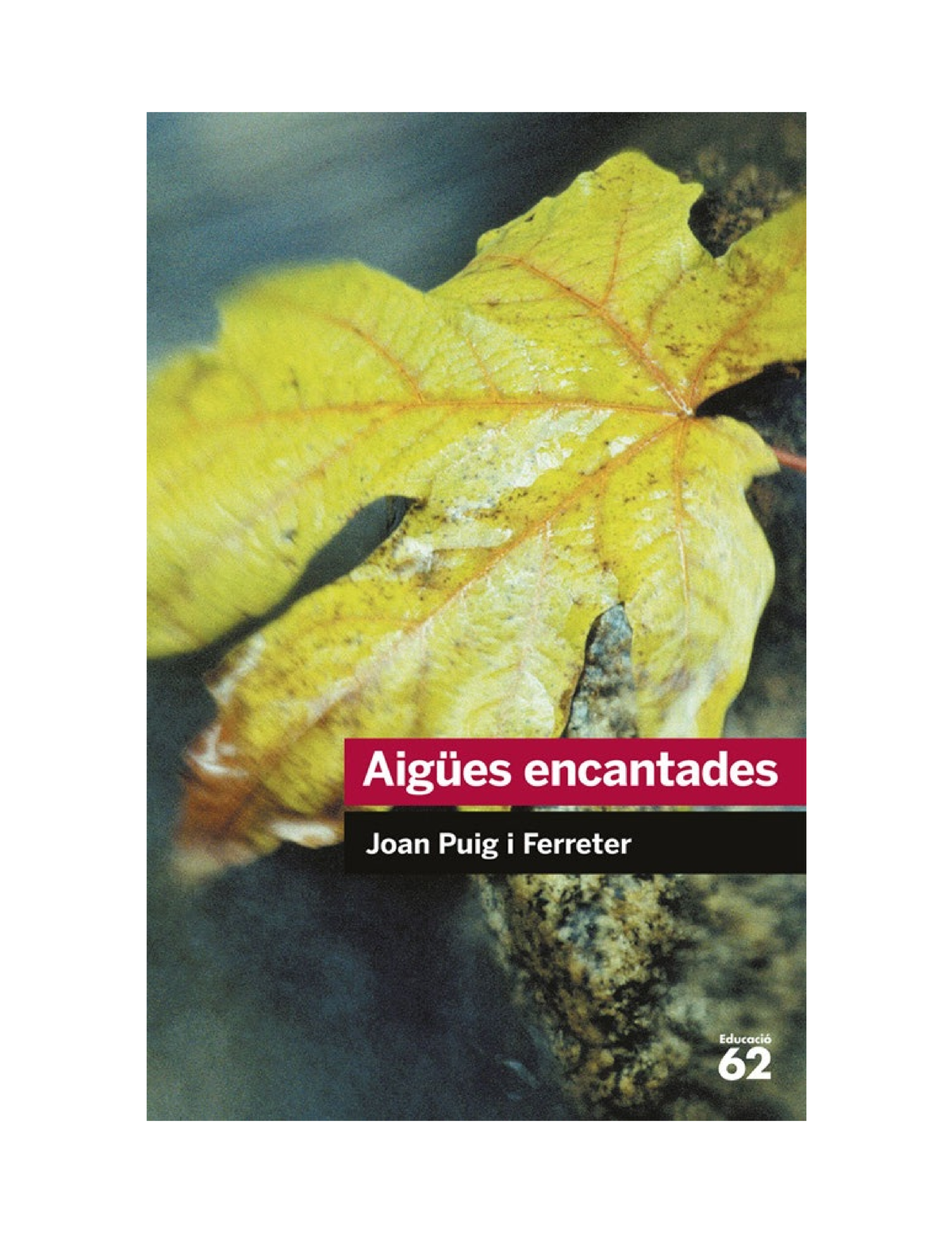 Aigües Encantades - AIGÜES ENCANTADES, JOAN PUIG I FERRETER LITERATURA  CATALANA Unitat 2 2n - Studocu