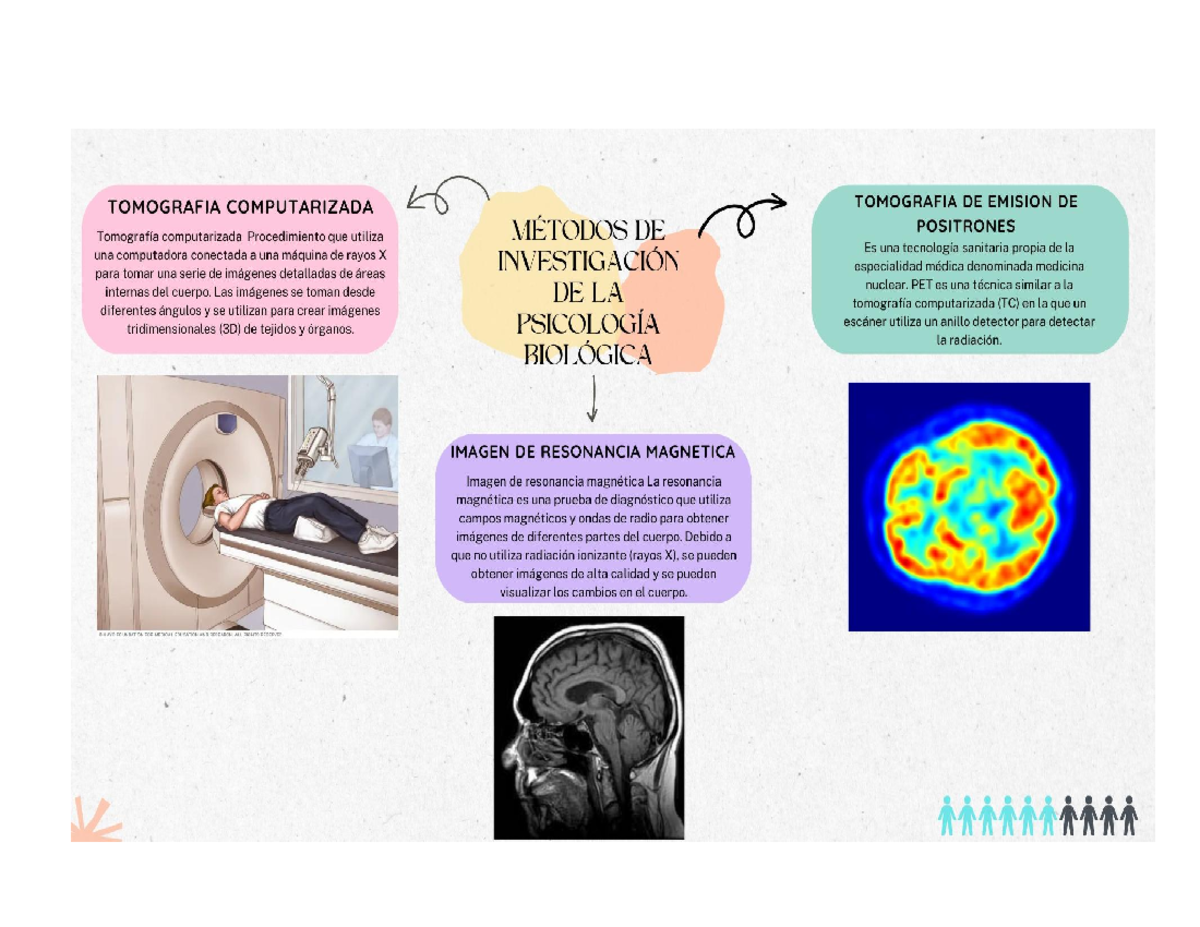 Mapa Mental - Bases Biológicas Del Comportamiento - Studocu