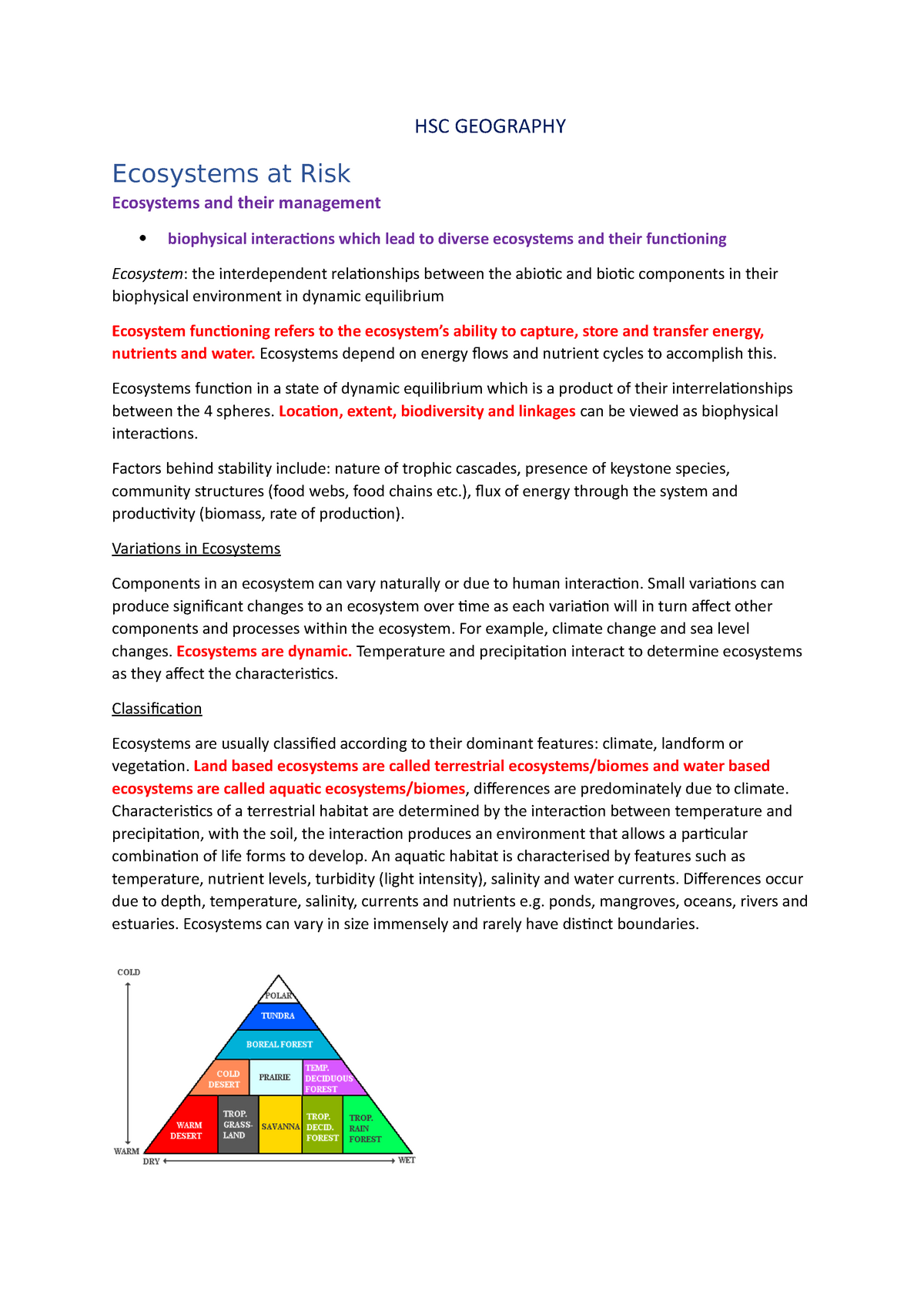 geography hsc essay structure