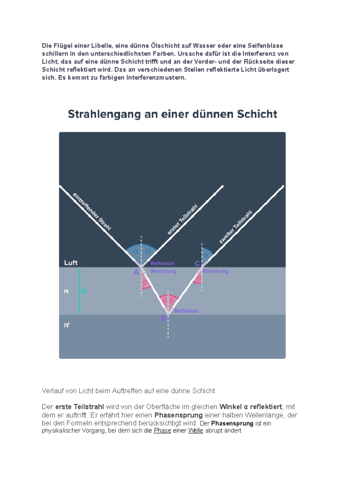 Interferenz An Dünnen Schichten Interferenzen an dünnen Schichten - Die Flügel einer Libelle, eine