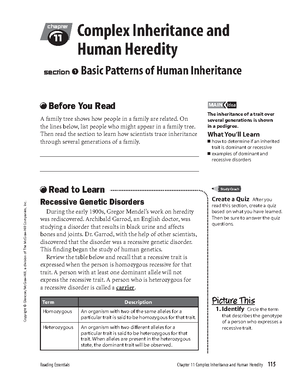 Bacterial Identification Lab Worksheet Student - BioInteractive ...