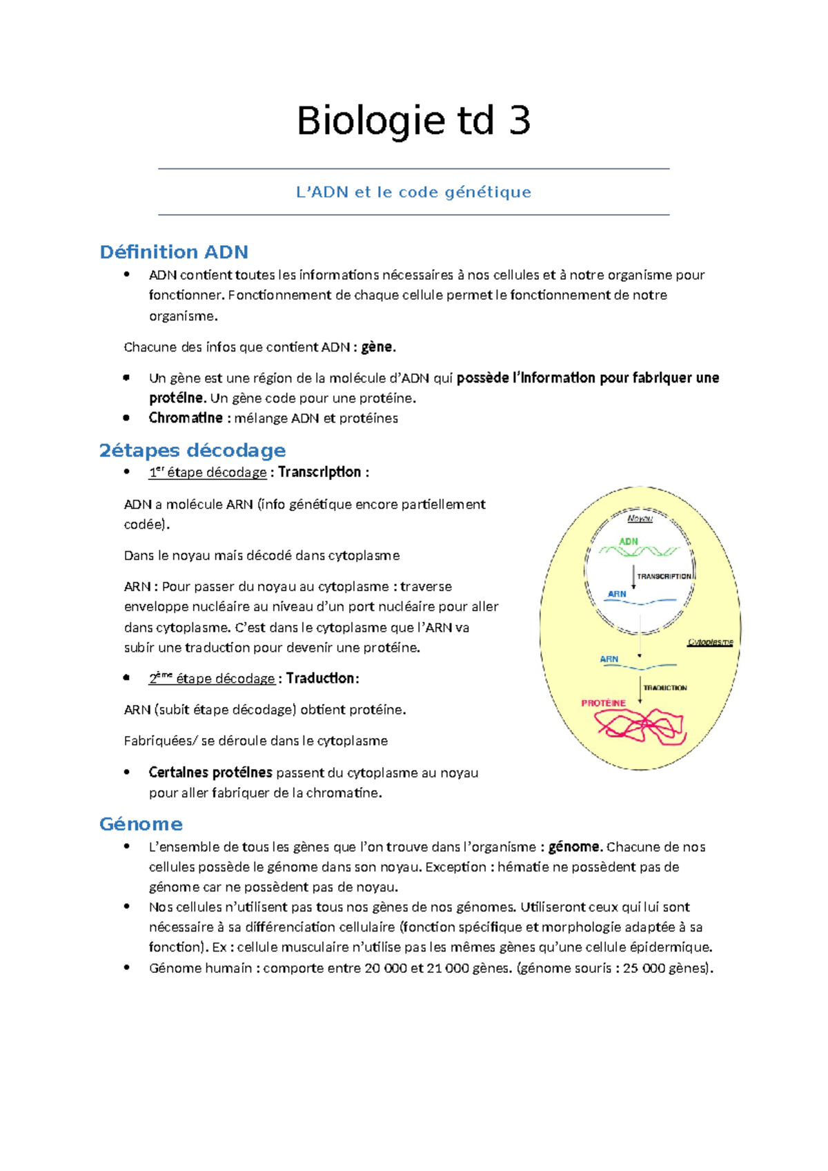 Bio td3 - bio - Biologie td 3 L’ADN et le code génétique Définition ADN ...