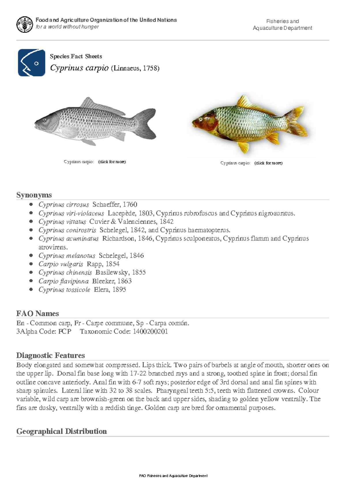 FAO Fisheries & Aquaculture - Aquatic species - Food and Agriculture ...